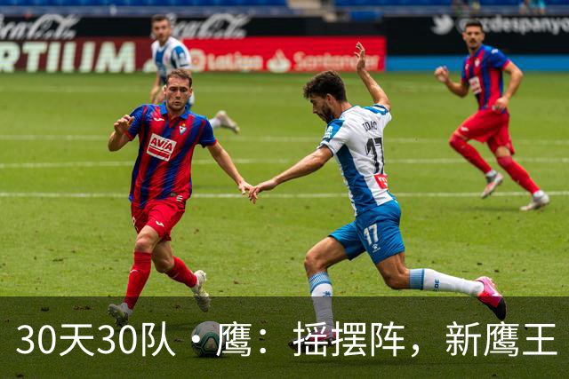 30天30队·鹰：摇摆阵，新鹰王